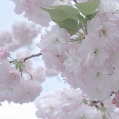 Furry插画色彩解析FurryQQ群